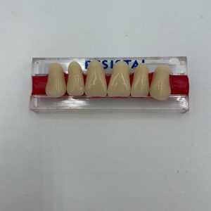 DIENTES ANT-SUP 3N/65-A3