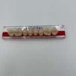 DIENTES MOLAR-SUP.30L/65-A3