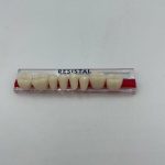 DIENTES MOLAR-INF.30L/65-A3