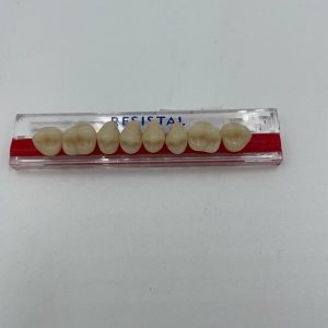 DIENTES MOLAR-SUP.32L/65-A3