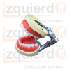 DENTOFORMO TIPO NISSIN #M8012