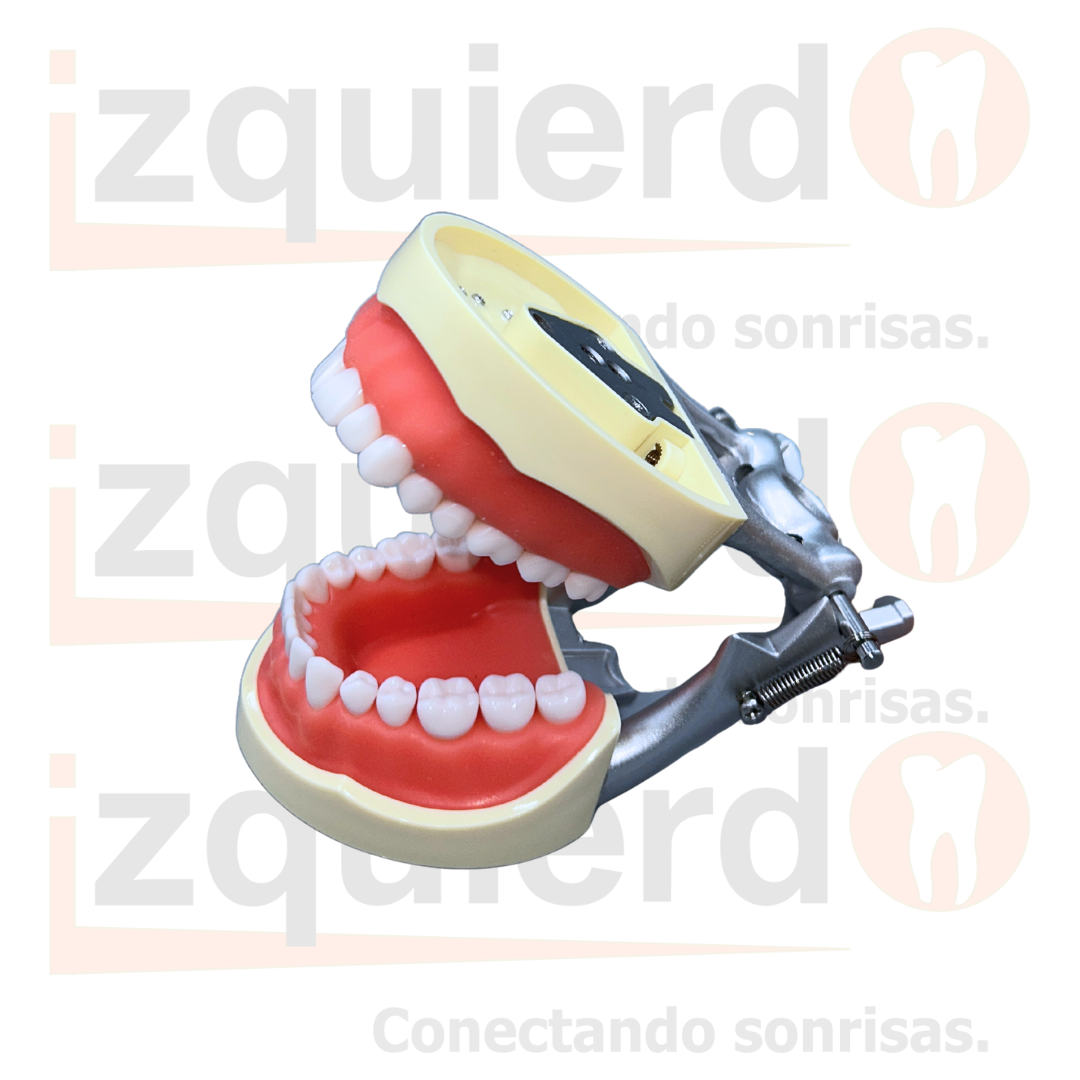 DENTOFORMO TIPO NISSIN #M8012